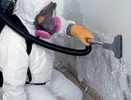 Professional Mold Inspection in Marshfield Hills, MA